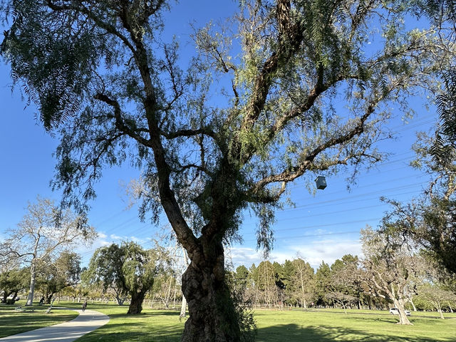 位於市區內佔地面積及大的自然公園