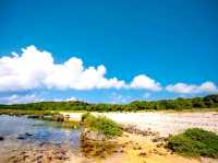 綠島紫坪生態保育區