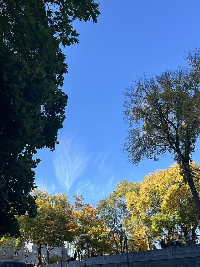 カナダ🇨🇦 秋のケベックでの街歩き🍁