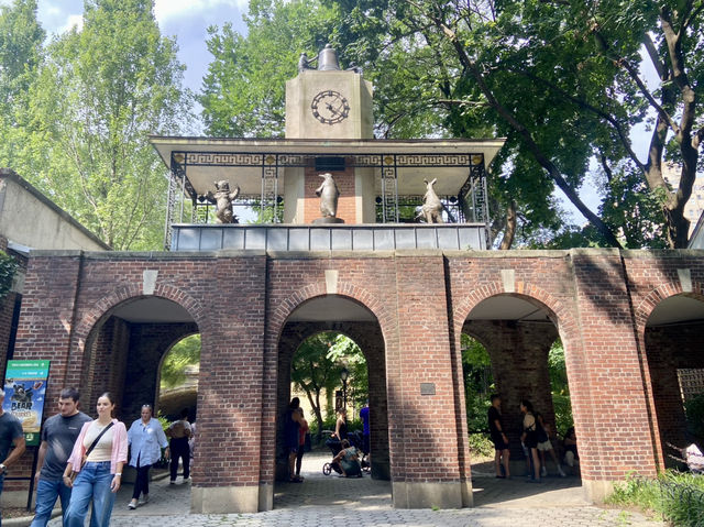 ✨🦜我在紐約中央公園動物園觀雀的樂趣✨