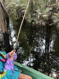 🇵🇪アマゾン川の大自然を体感🦥🦜🐒イキトス発アマゾンツアー