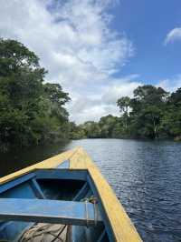🇵🇪アマゾン川の大自然を体感🦥🦜🐒イキトス発アマゾンツアー