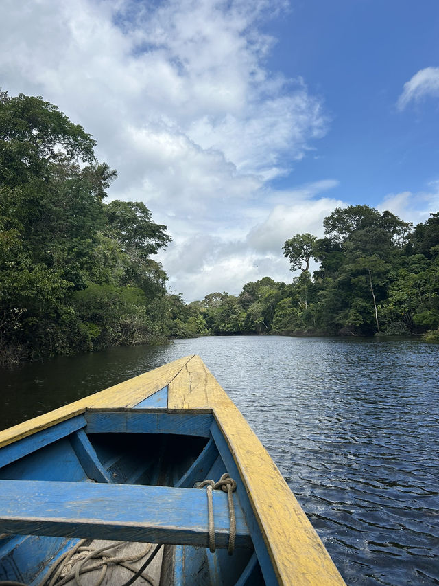 🇵🇪アマゾン川の大自然を体感🦥🦜🐒イキトス発アマゾンツアー