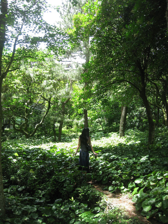 jeju island !!!!