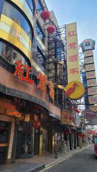 🌸🎥 Shanghai Film Park & the Magic of Blooming Shanghai 🌸🎥