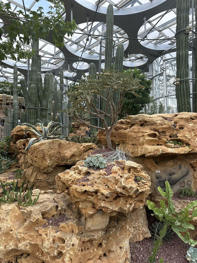 The Shanghai Expo Botanical Garden