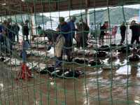 ♀️ 靜心之旅|7天6夜關西靈修溫泉散策記