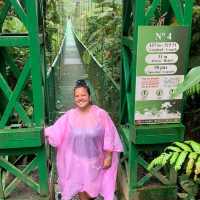 Monteverde cloud forest 🌳 