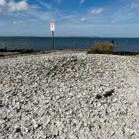 【英國】去海邊玩！食生蠔！Whitstable 3大熱門拍攝景點推介