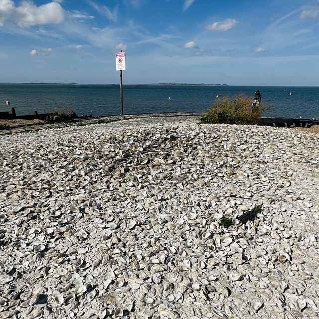 【英國】去海邊玩！食生蠔！Whitstable 3大熱門拍攝景點推介
