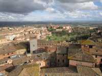 Siena's Tuscan Tapestry 🍇