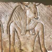 《皮特里埃及考古博物館》⚱️參觀6000 年前的收藏品🗿