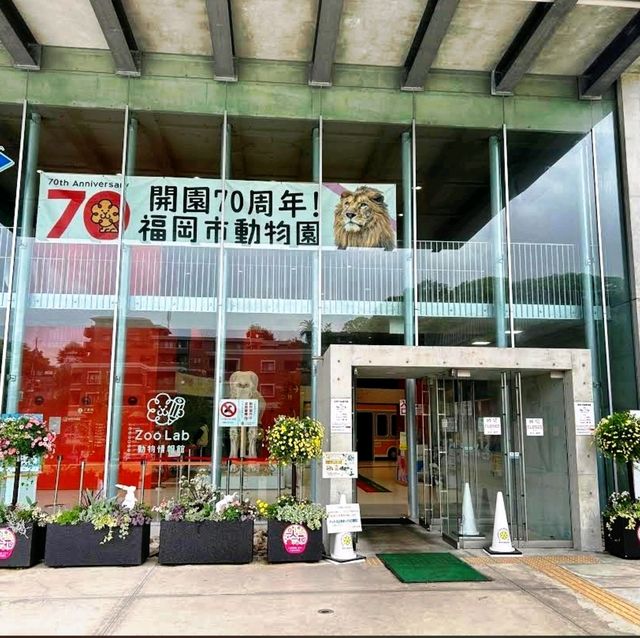🐯福岡市動植物園🦁福岡最具代表性的動物園✨️
