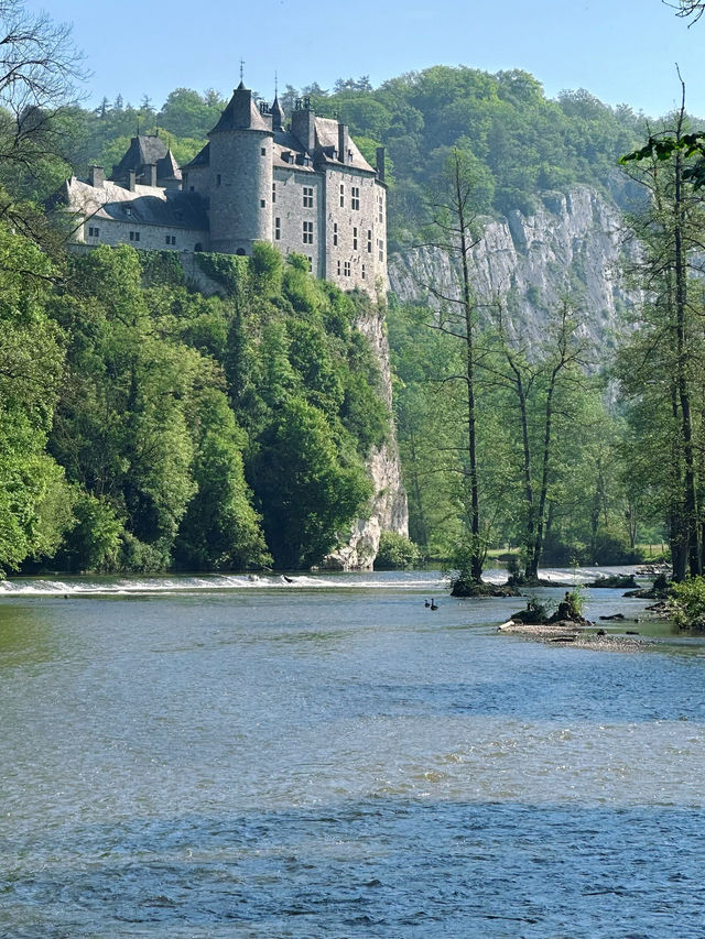 Catch the beauty of Walzin Castle From Lisse River 
