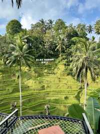 Alas Harum Bali