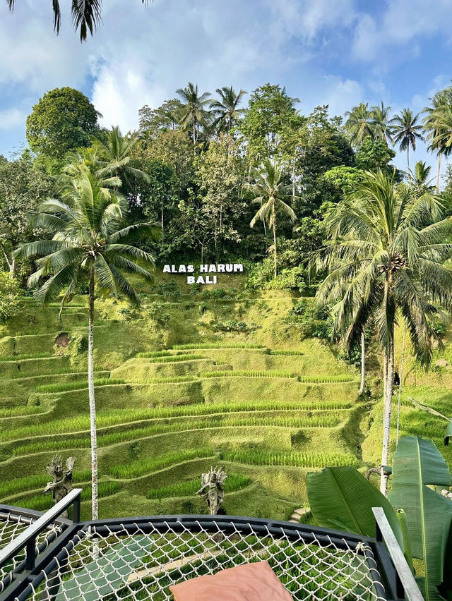 Alas Harum Bali