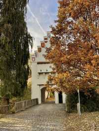 Autumn in Grunwald 🍻