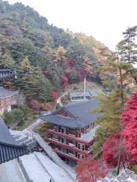 충북 단양 구인사 🍁