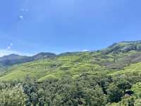 Trekking to Lakkon Falls