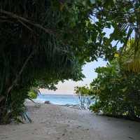 Ecoboo Maldives - perfect honeymoon experience 