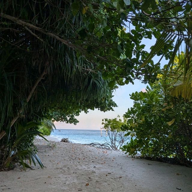 Ecoboo Maldives - perfect honeymoon experience 