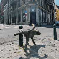 Brussels Unveiled: A European Delight