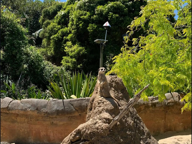 The Melbourne Zoo