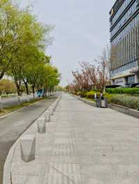 Wuxi Day Trip: Huishan Ancient Town & Nanchang Street