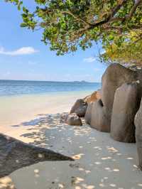 Discover Paradise on Earth: Seychelles 🇸🇨