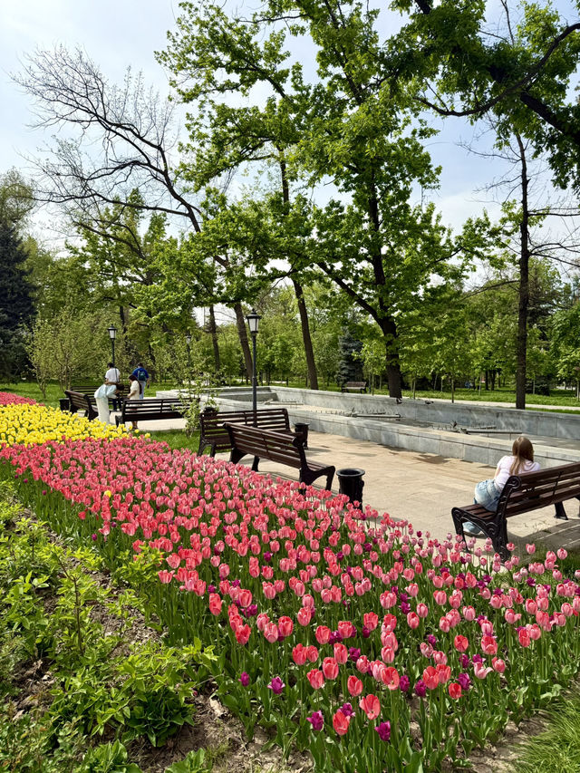 Spring Escape at KBTU Park, Almaty