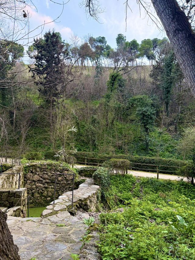 A Walk Like a Painting