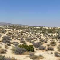 🥾 Best Hike in Joshua Tree National Park: Hidden Valley Trail 🌵
