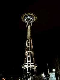 Space Needle & The Seattle Eye,  the city from above