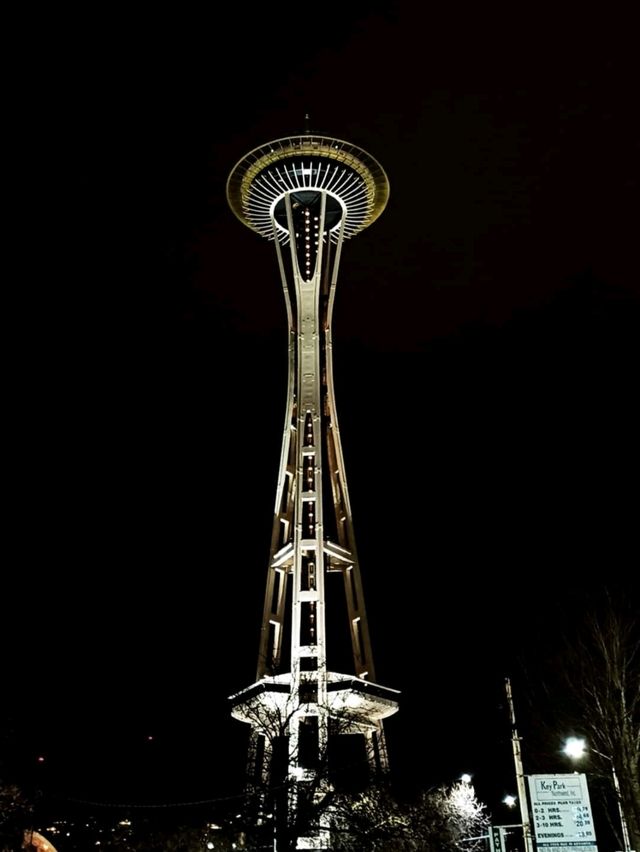 Space Needle & The Seattle Eye,  the city from above
