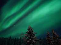 The incredible aurora in Tromsø, Norway💫🪄