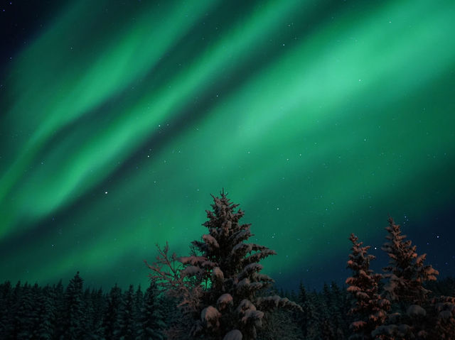 The incredible aurora in Tromsø, Norway💫🪄