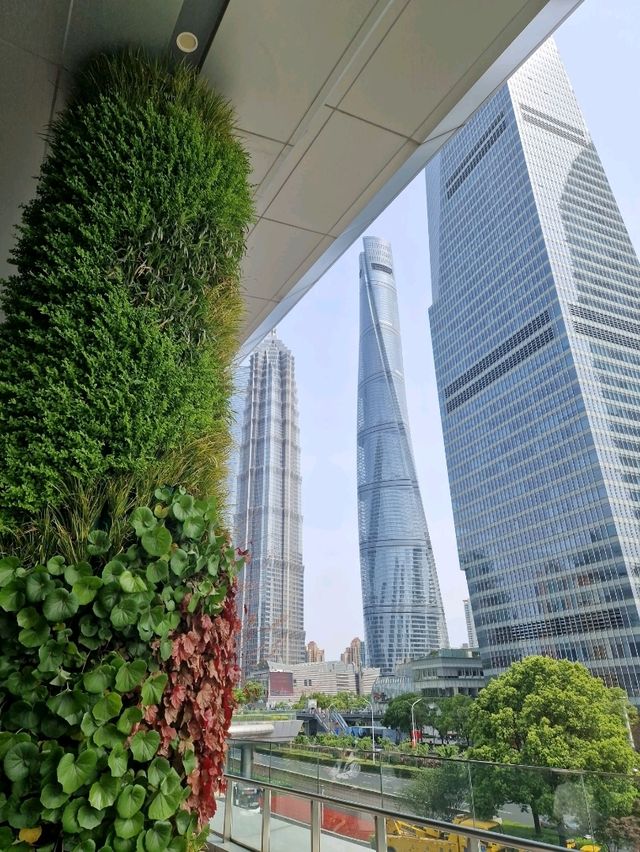 One Week in Shanghai: Guide + Costs 🌃🇨🇳
