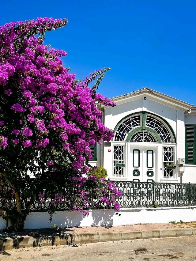 Heybeliada & Büyükada: Tranquil Escapes of the Princes’ Islands