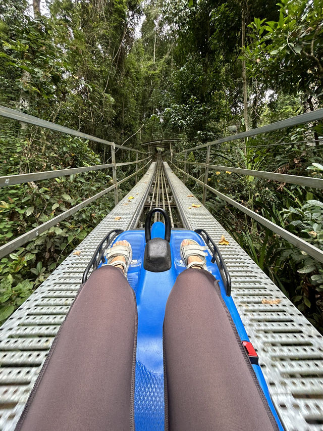 🏔️ Datanla New Alpine Coaster: When Mountains Whisper 'Slide Down' With Wind