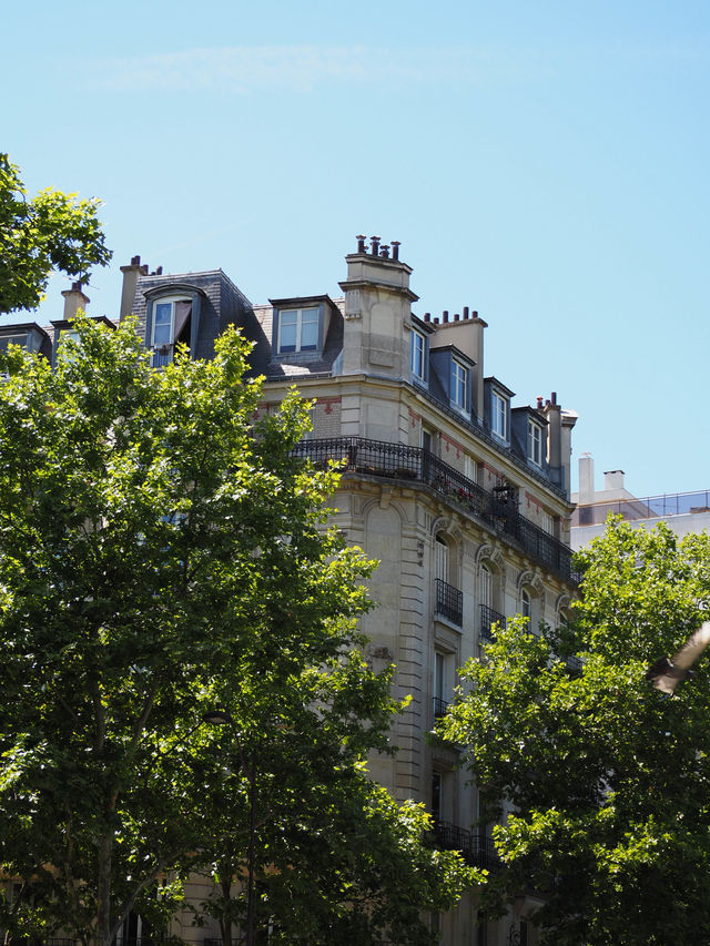 A day in Paris