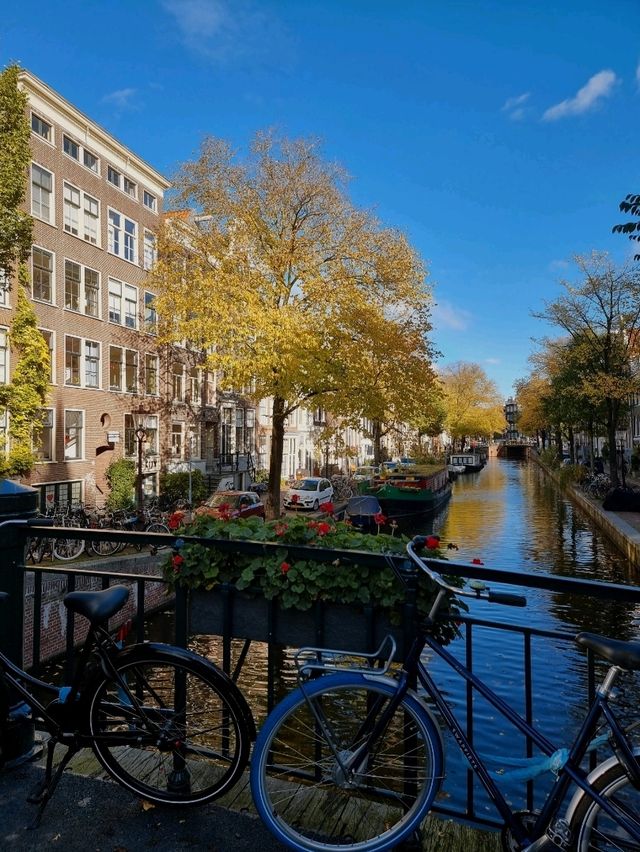 Amsterdam Travel Guide
