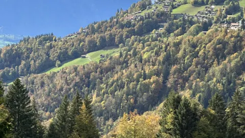 แผนการเดินทางสวิตเซอร์แลนด์: 3 วันใน Beatenberg และเขต Interlaken — traveler post in Beatenberg