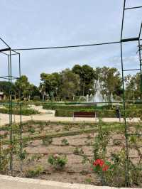 Valencia: Sun, History & Mediterranean Vibes ☀️🏛️🌊