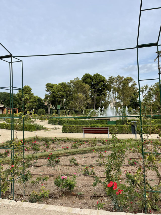 Valencia: Sun, History & Mediterranean Vibes ☀️🏛️🌊 Valencia: Sun, History & Mediterranean Vibes ☀️🏛️🌊
