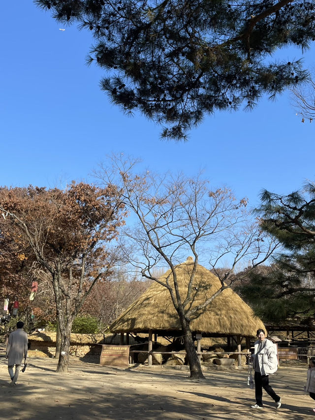 Autumn Suwon Vibes🍂