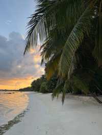 Live a dream island 🏝️ life: Kuramathi Island Resort Maldives
