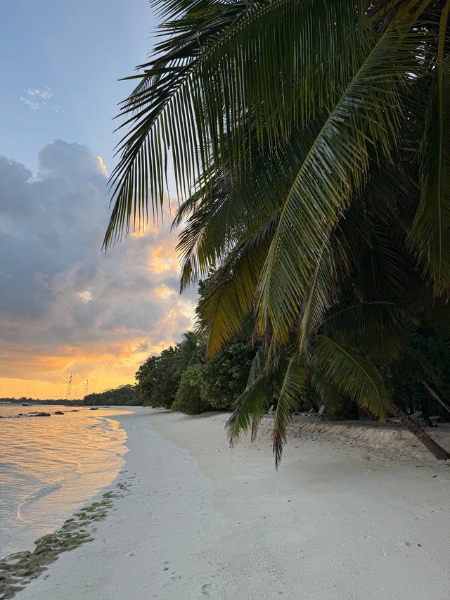 Live a dream island 🏝️ life: Kuramathi Island Resort Maldives
