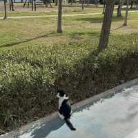 Antalya Day Trip Itinerary