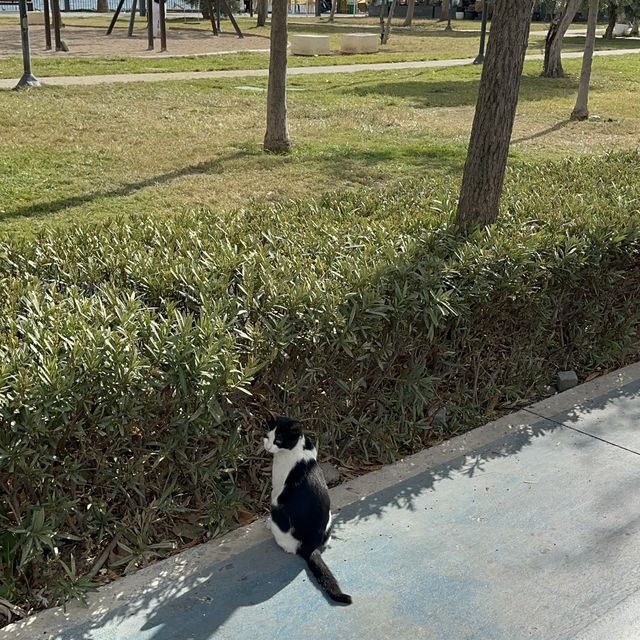 Antalya Day Trip Itinerary