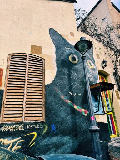 🇬🇪動物好き必見！トビリシの街角は猫と犬とアートで溢れる癒やし空間